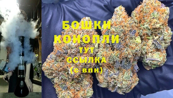 сатива Вязьма