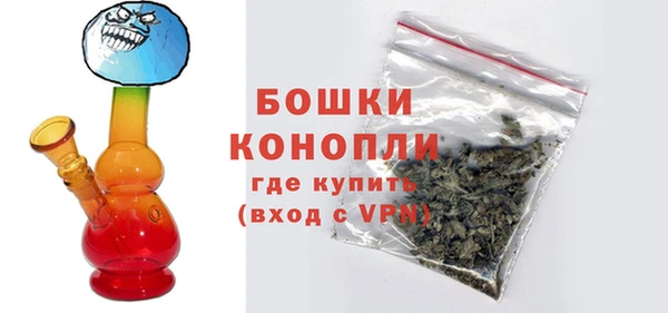 сатива Вязьма