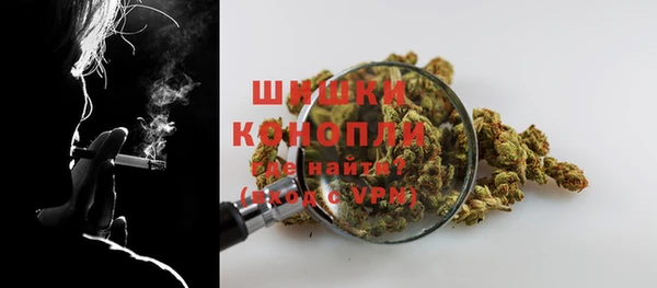 ешки Вяземский