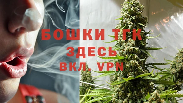 сатива Вязьма