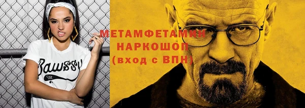 сатива Вязьма