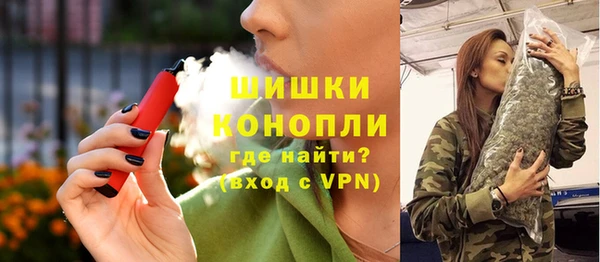 ешки Вяземский