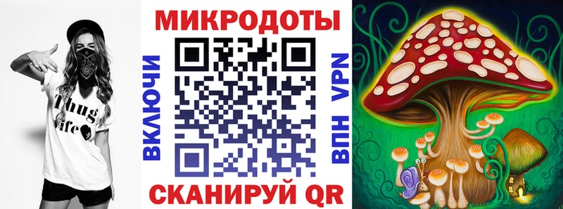 kraken как войти  что такое   Камбарка  Псилоцибиновые грибы мицелий 